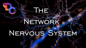 The Beginners Guide to the Network Nervous System (NNS)