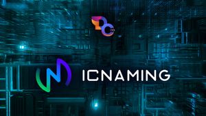 Interview with ICNaming: An Open Source Name Service on the Internet Computer