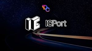 Interview with ICPort- The First DFINITY Backed Accelerator
