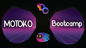 A Student's Review of the Motoko Bootcamp