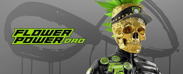 Pineapple Punk Accessories and Rarity