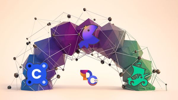 The First Internet Computer NFT Marketplace Attention Shift: CCC Gaining Mass Popularity!